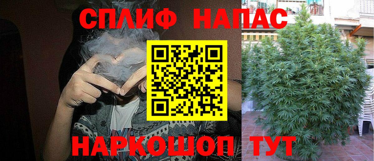 Каннабис OG Kush Гусь-Хрустальный